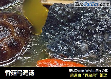 香菇乌鸡汤