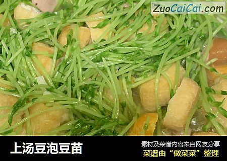 上汤豆泡豆苗