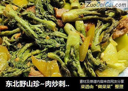 东北野山珍~肉炒刺老芽