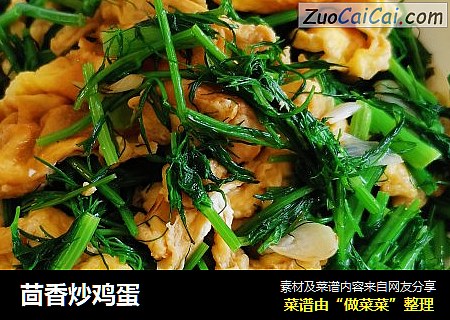 茴香炒鸡蛋