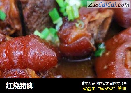 红烧猪脚