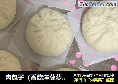肉包子（香菇洋葱萝卜肉馅）