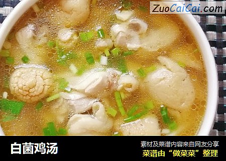 白菌鸡汤