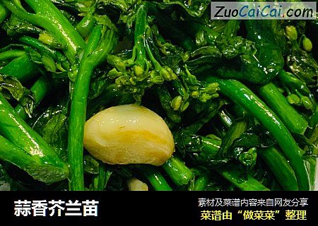 蒜香芥兰苗