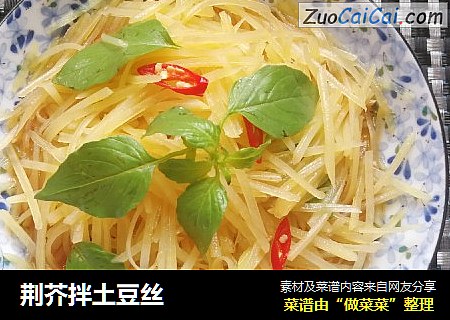 荆芥拌土豆丝