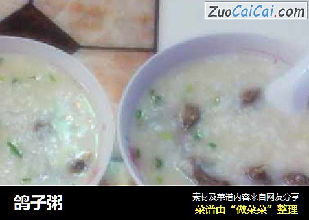 鸽子粥