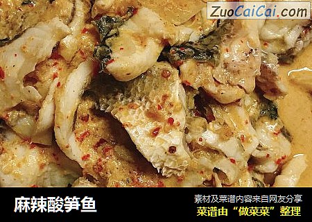 麻辣酸笋鱼