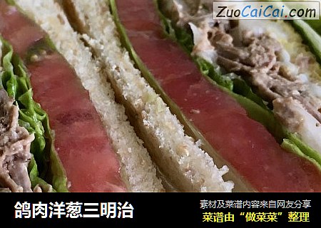 鸽肉洋葱三明治