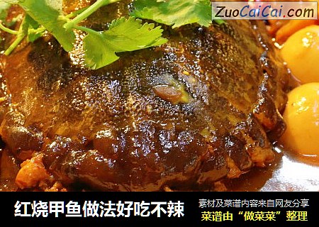红烧甲鱼做法好吃不辣