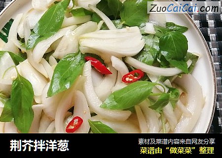荆芥拌洋葱