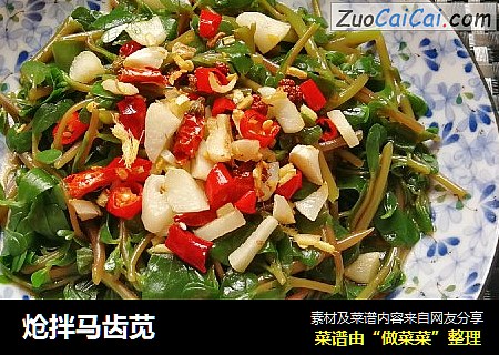 炝拌马齿苋
