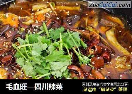 毛血旺—四川辣菜