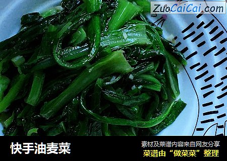 快手油麦菜