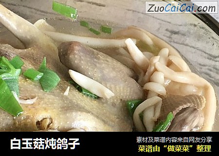 白玉菇炖鸽子