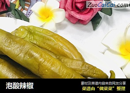 泡酸辣椒