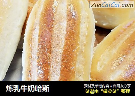 炼乳牛奶哈斯