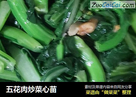 五花肉炒菜心苗