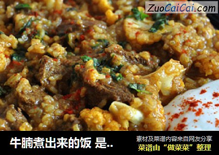 牛腩煮出来的饭 是真正的牛腩饭