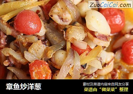 章鱼炒洋葱