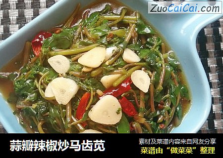 蒜瓣辣椒炒马齿苋