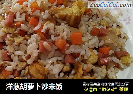 洋葱胡萝卜炒米饭