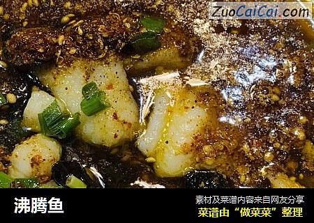 沸腾鱼