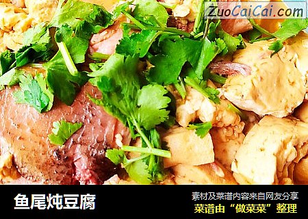 鱼尾炖豆腐