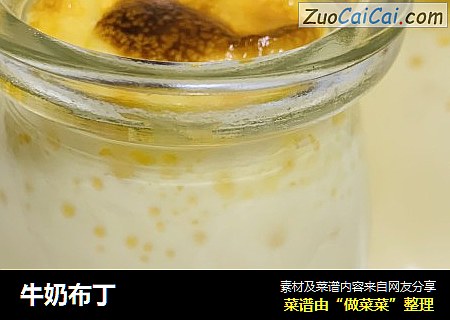 牛奶布丁