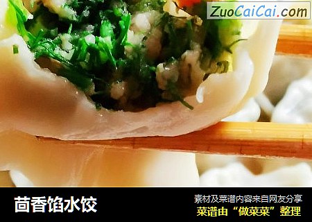 茴香馅水饺