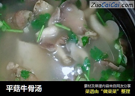 平菇牛骨汤