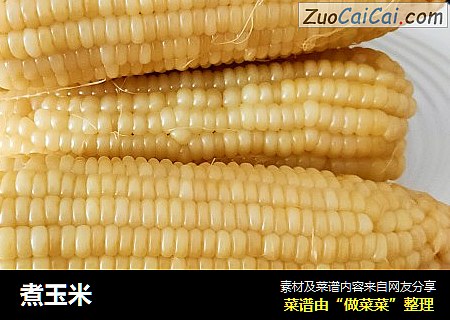 煮玉米