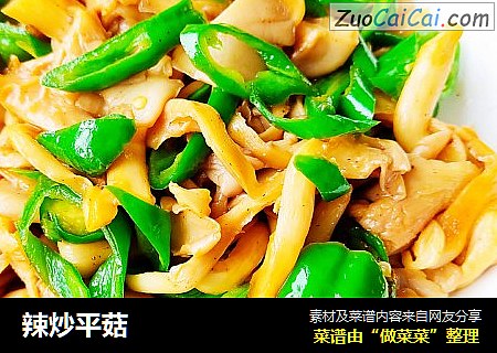 辣炒平菇