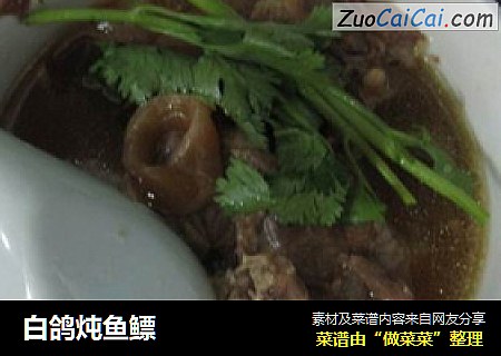 白鸽炖鱼鳔