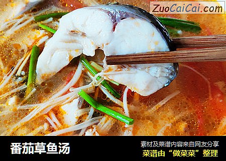 番茄草鱼汤