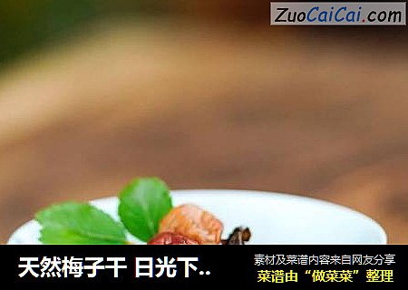 天然梅子干 日光下的颗颗浓香