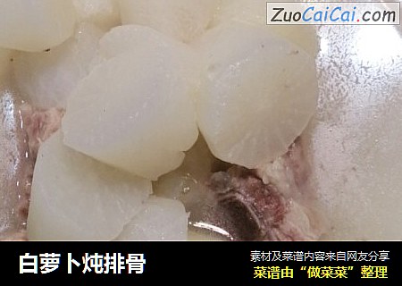 白萝卜炖排骨