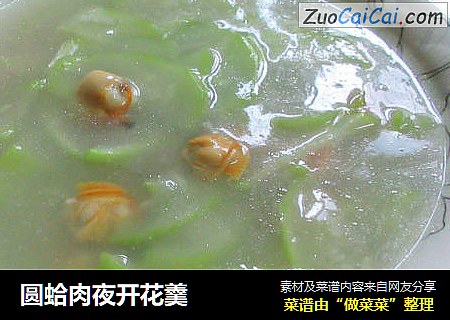 圆蛤肉夜开花羹