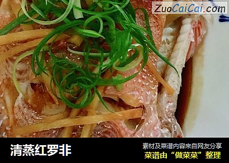 清蒸红罗非