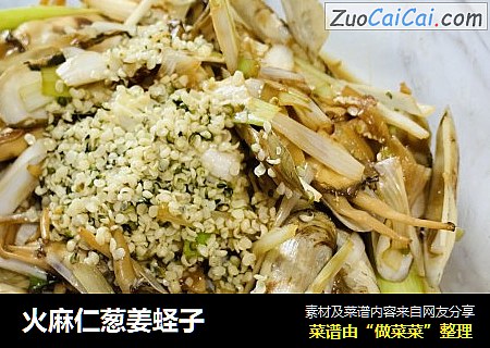 火麻仁葱姜蛏子