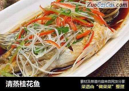 清蒸桂花鱼