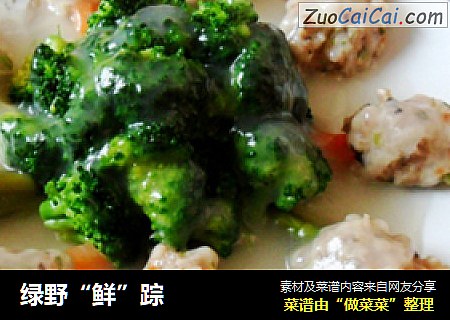 绿野“鲜”踪