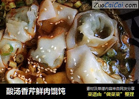 酸汤香芹鲜肉馄饨