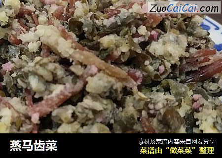 蒸马齿菜