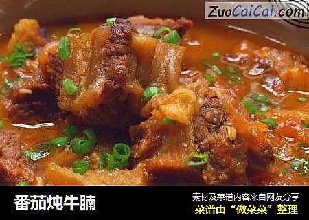 番茄炖牛腩
