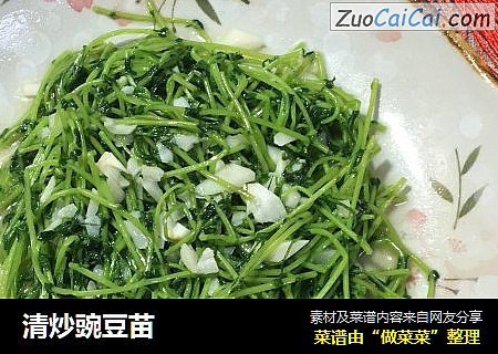 清炒豌豆苗