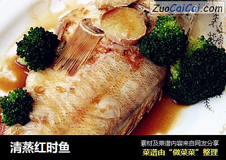 清蒸红时鱼
