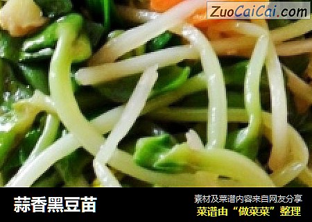 蒜香黑豆苗
