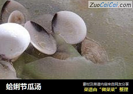蛤蜊节瓜汤