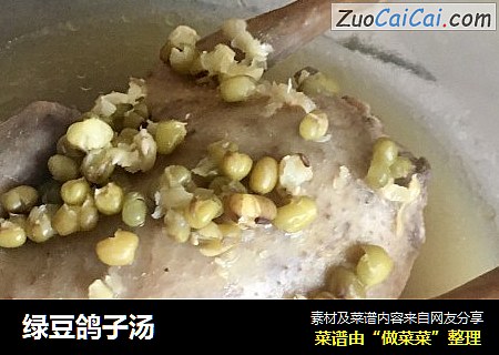 绿豆鸽子汤