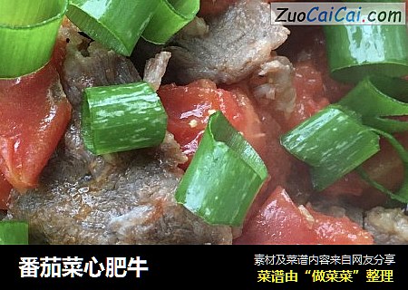 番茄菜心肥牛